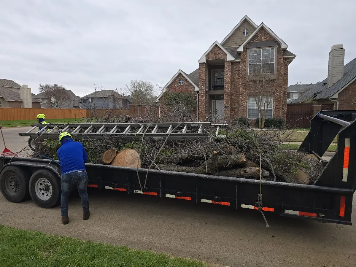 Expert Tree Pest Control with proper safety equipment in Hohenwald